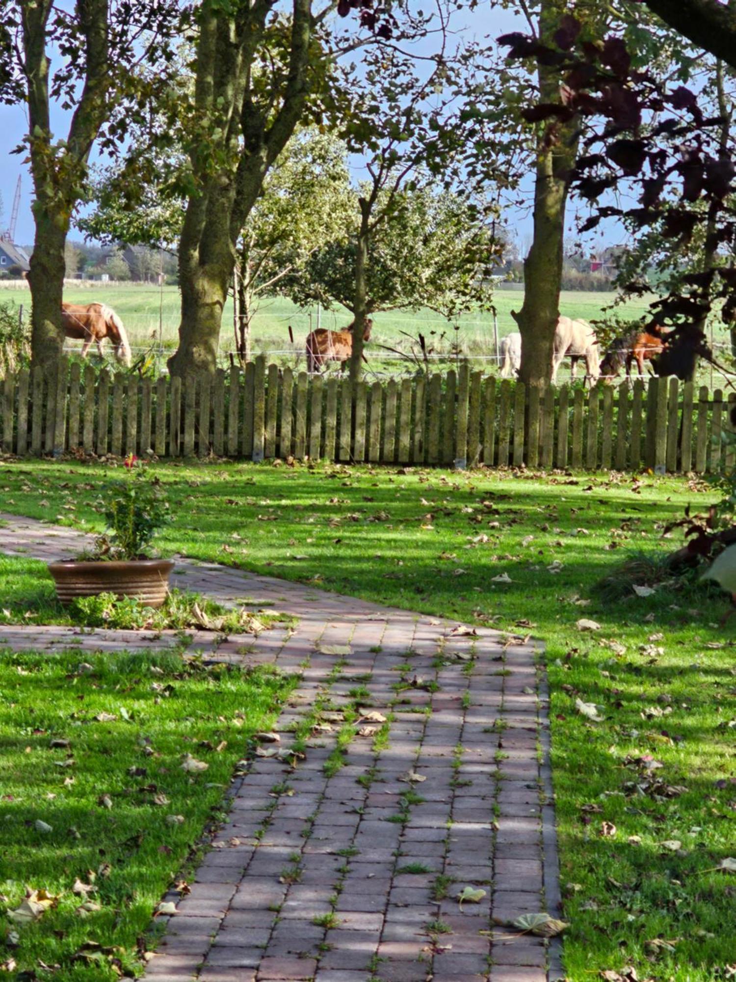 Ferienwohnungen Das Finkhaus Simonsberg Exterior foto